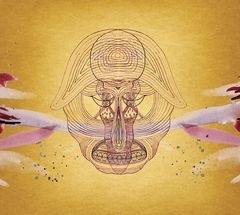 What Will We Be by Devendra Banhart $14